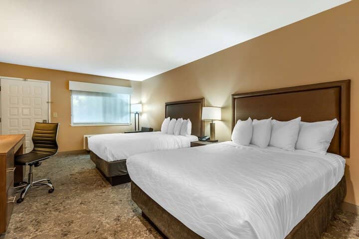 Room 15 of 52